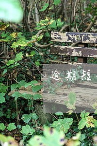 逾期短信怎么处理 逾期短信怎么处理