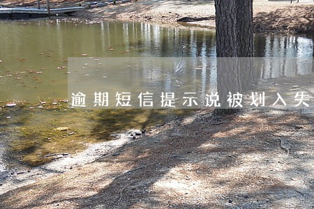 逾期短信提示说被划入失信黑名单