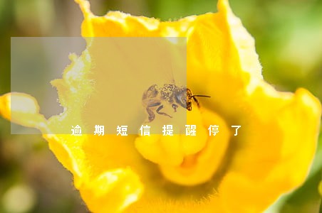 逾期短信提醒停了