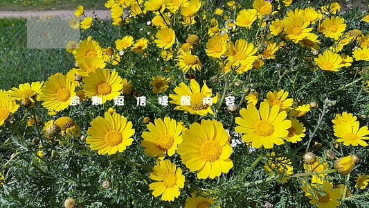 逾期短信提醒内容