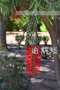 逾期短信提醒执行告知书