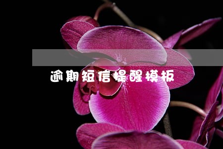 逾期短信提醒模板