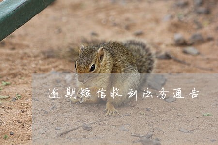 逾期短信收到法务通告