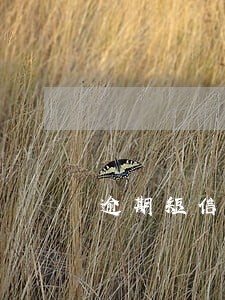 逾期短信收到结清通知该怎么办
