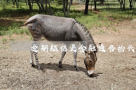 逾期短信是金融通告抬头的