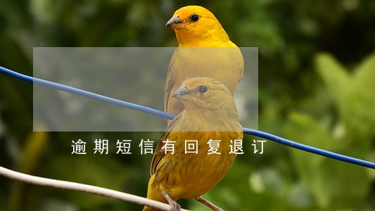 逾期短信有回复退订 逾期短信有回复退订