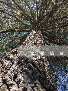 逾期短信没有退订回t