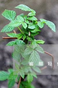 逾期短信真的可以退订吗