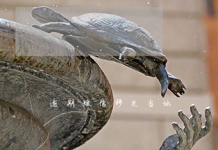 逾期短信移交当地 逾期短信移交当地