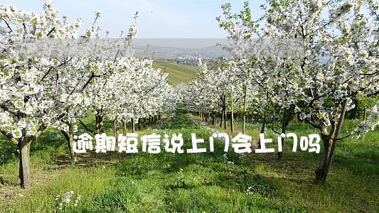 逾期短信说上门会上门吗 逾期短信说上门会上门吗