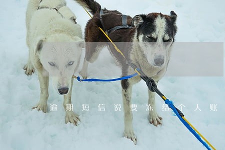 逾期短信说要冻结个人账户的条件 逾期短信说要冻结个人账户的条件