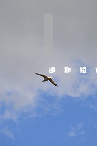 逾期短信轰炸可以不还吗 逾期短信轰炸可以不还吗
