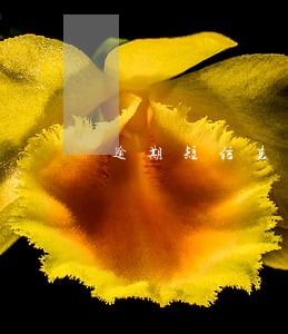 逾期短信轰炸多久 逾期短信轰炸多久