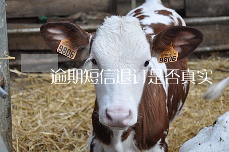 逾期短信退订是否真实