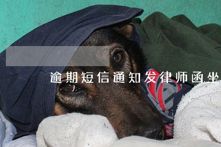 逾期短信通知发律师函坐牢重判 逾期短信通知发律师函坐牢重判