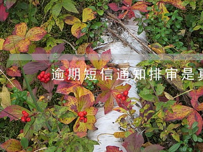 逾期短信通知排审是真的吗 逾期短信通知排审是真的吗