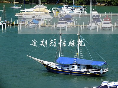 逾期短信骚扰 逾期短信骚扰