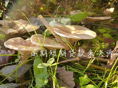 逾期短期贷款未决诉讼会计处理