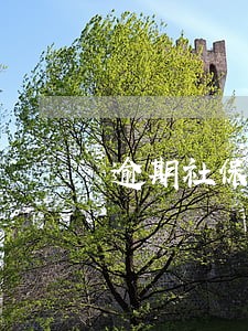 逾期社保 逾期社保