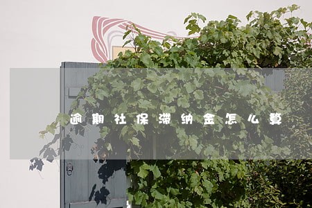 逾期社保滞纳金怎么算