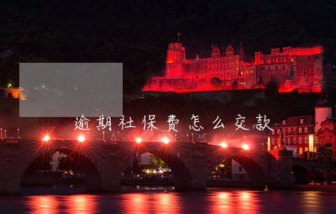 逾期社保费怎么交款