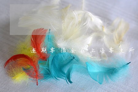 逾期票据会在上海票交所披露吗 逾期票据会在上海票交所披露吗