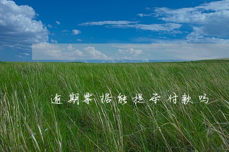 逾期票据能提示付款吗 逾期票据能提示付款吗