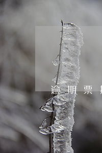逾期票据超过2年怎么办
