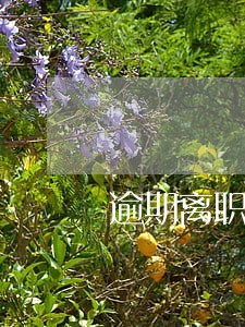 逾期离职催收公积金 逾期离职催收公积金