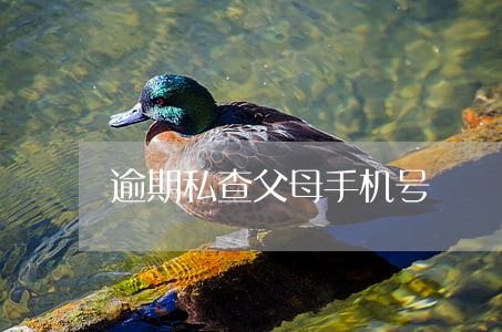 逾期私查父母手机号