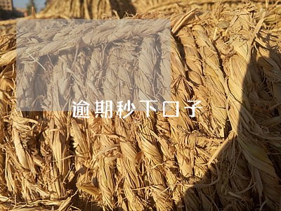 逾期秒下口子 逾期秒下口子