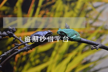 逾期秒借平台 逾期秒借平台