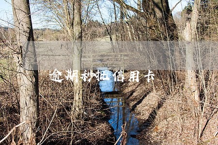 逾期秒批信用卡