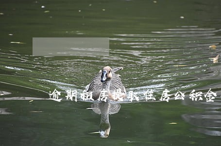 逾期租房提取住房公积金吗 逾期租房提取住房公积金吗