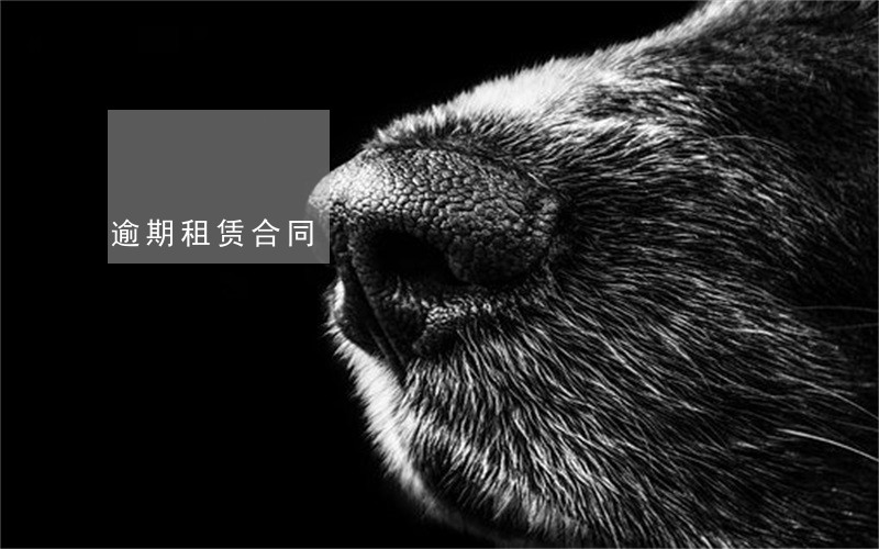 逾期租赁合同 逾期租赁合同