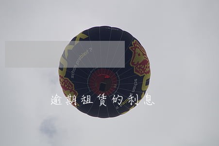 逾期租赁的利息 逾期租赁的利息