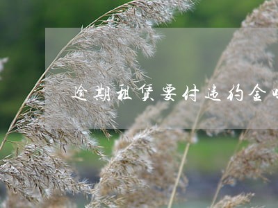 逾期租赁要付违约金吗 逾期租赁要付违约金吗