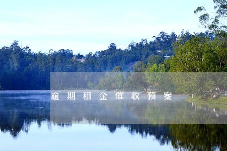 逾期租金催收预案 逾期租金催收预案