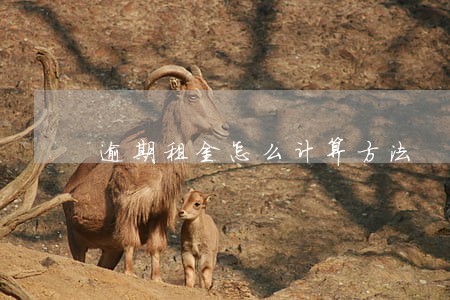 逾期租金怎么计算方法 逾期租金怎么计算方法