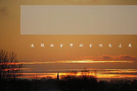 逾期租金滞纳金约定过高 逾期租金滞纳金约定过高