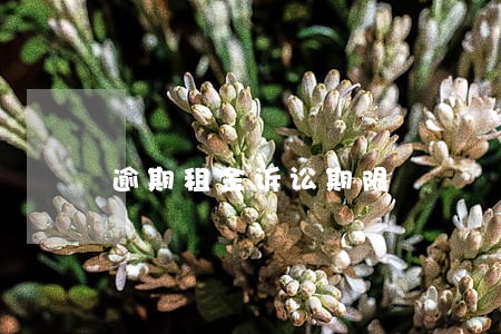 逾期租金诉讼期限 逾期租金诉讼期限