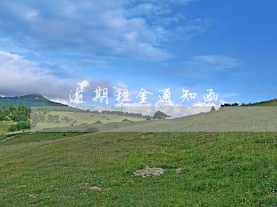 逾期租金通知函 逾期租金通知函