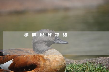 逾期积分冻结 逾期积分冻结
