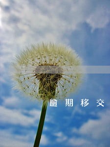 逾期移交三方外包公司没有钱 逾期移交三方外包公司没有钱