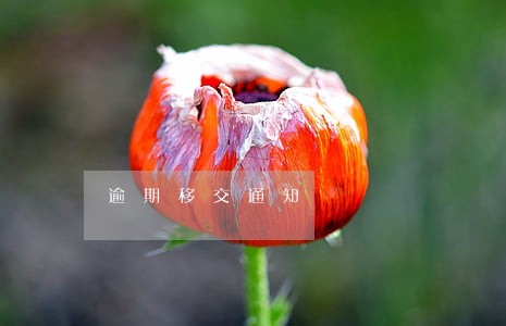 逾期移交通知 逾期移交通知