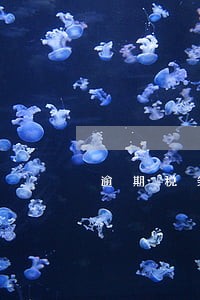 逾期税务处罚记录如何消除 逾期税务处罚记录如何消除