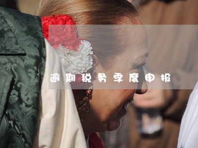 逾期税务季度申报 逾期税务季度申报