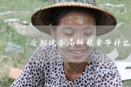 逾期税务局解锁要带什么 逾期税务局解锁要带什么
