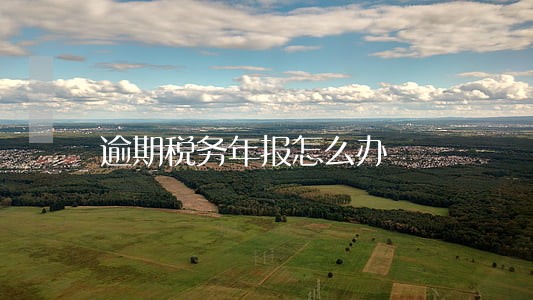 逾期税务年报怎么办 逾期税务年报怎么办