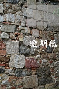 逾期税务怎么报 逾期税务怎么报